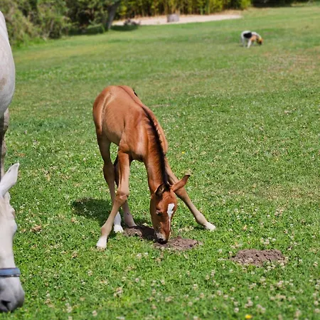 Villa Casa Seahorses B