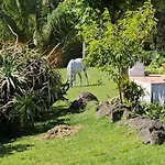 Villa Casa Seahorses B
