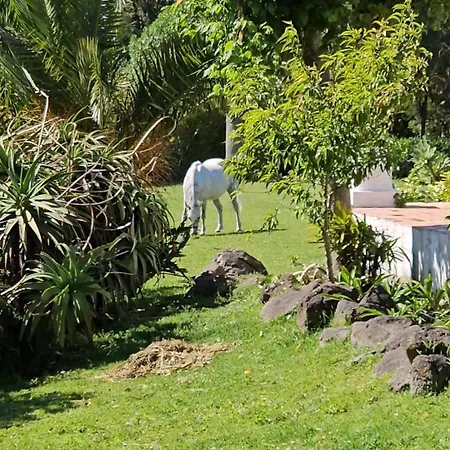 Villa Casa Seahorses B